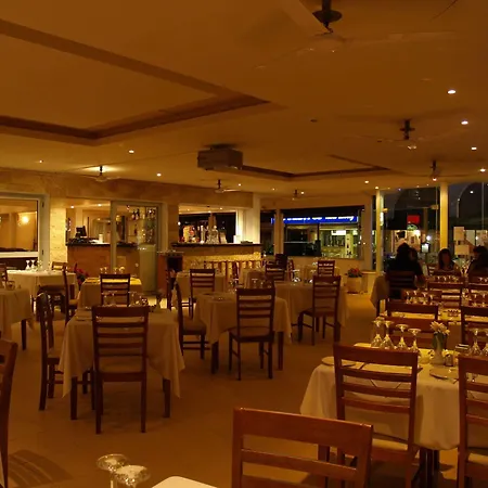 Daphne (adults Only)