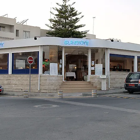 Daphne (adults Only)