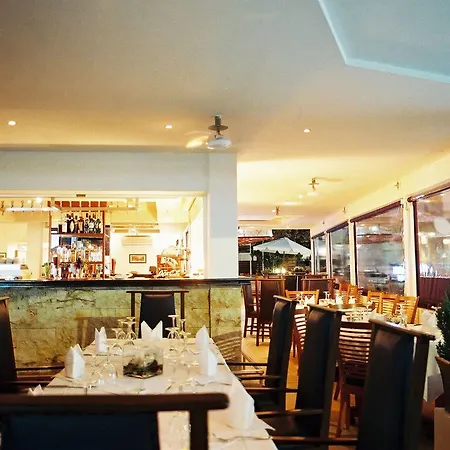 Daphne (adults Only)