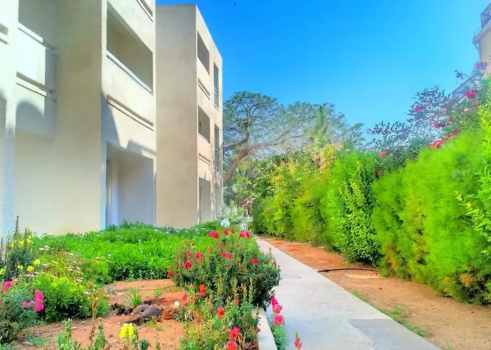 Daphne (adults Only)